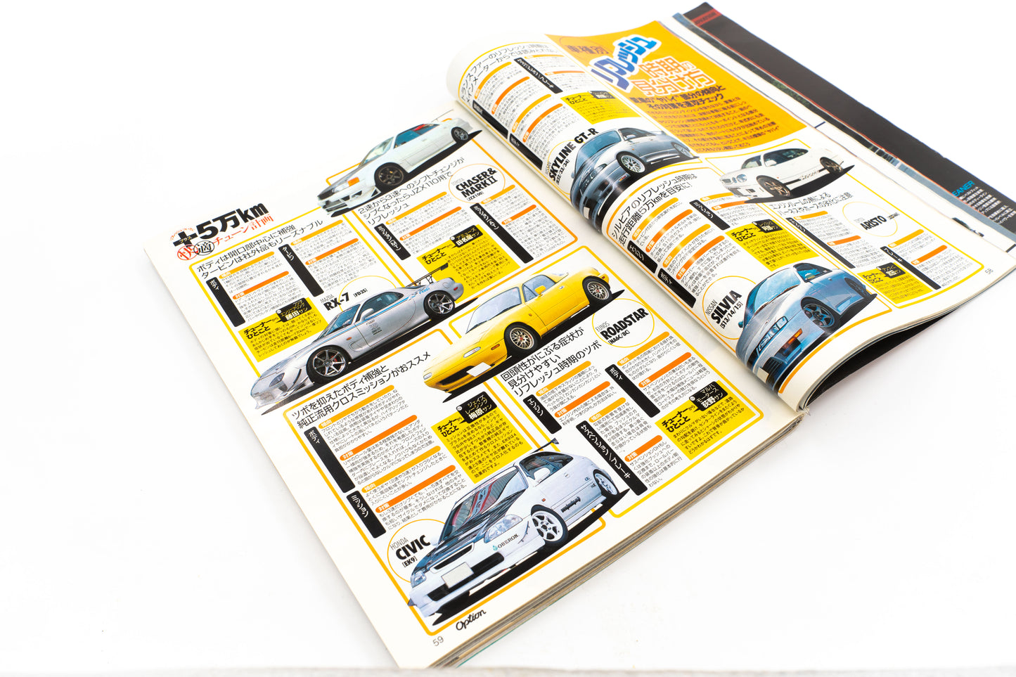 OPTION 2 - JUNE 2004