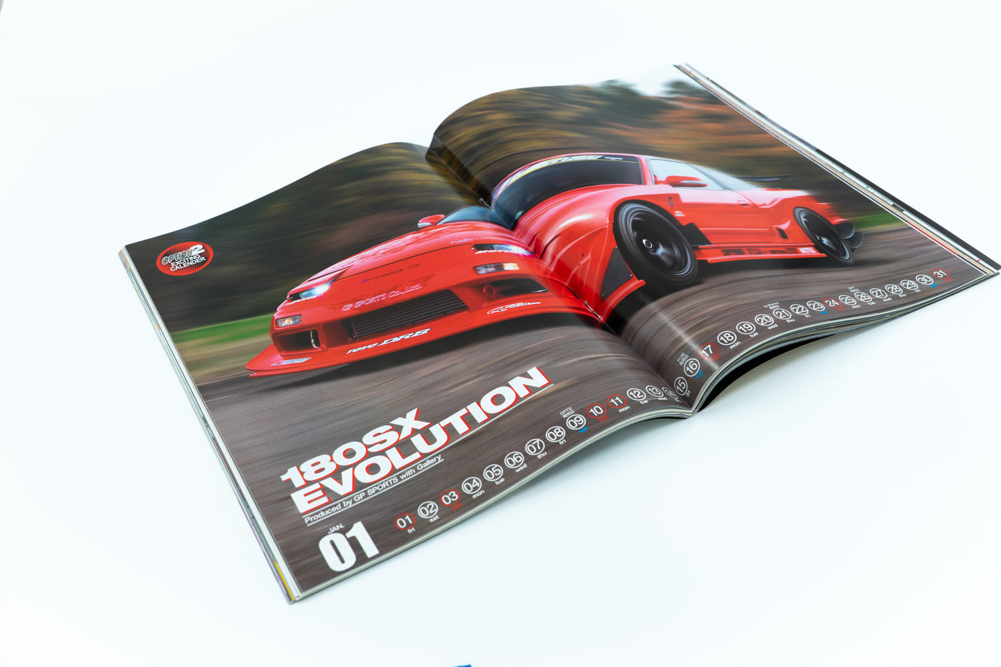 OPTION 2 - JANUARY 2010